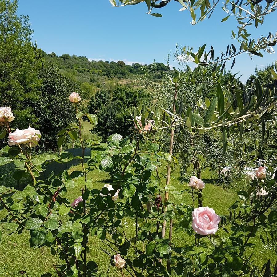 L'Albero Di Gameli Bed & Breakfast Chiusi Exterior photo