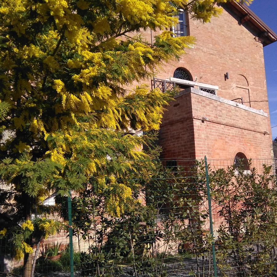 L'Albero Di Gameli Bed & Breakfast Chiusi Exterior photo