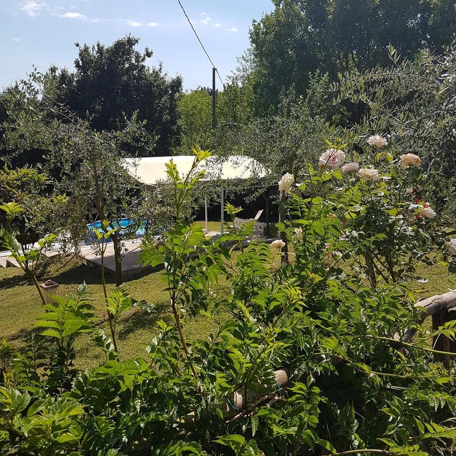 L'Albero Di Gameli Bed & Breakfast Chiusi Exterior photo
